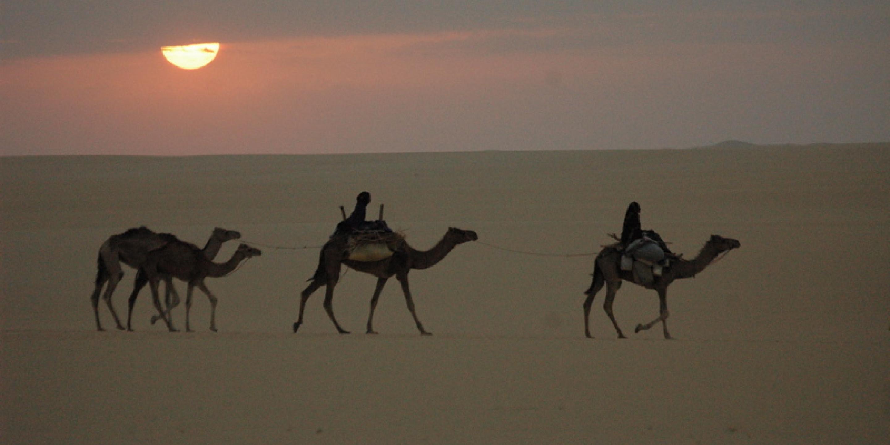 Vents de sable, femmes de roc